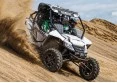 Wildcat X 1000i