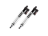 Amortyzatory JRI ECX-1
