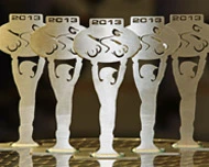 WILDCAT - Quad of the Year 2013